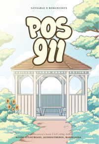 Image of Pos 911